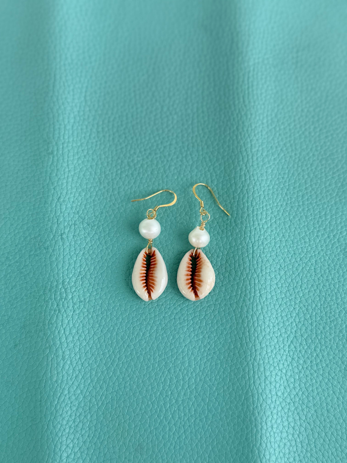 Cowrie shell earrings