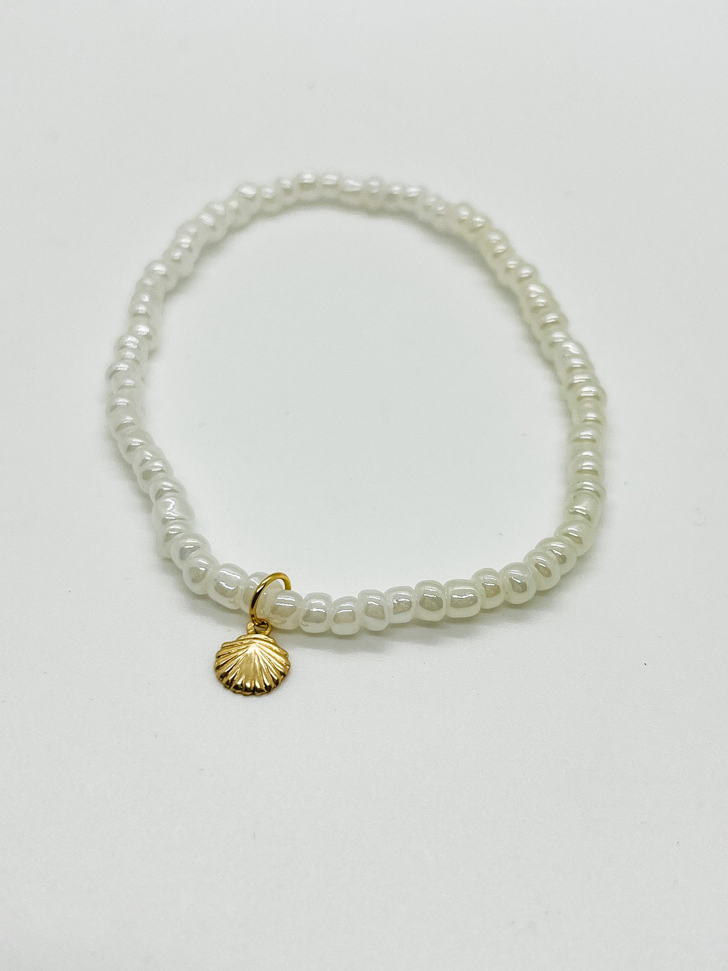 Seashell anklet/bracelet