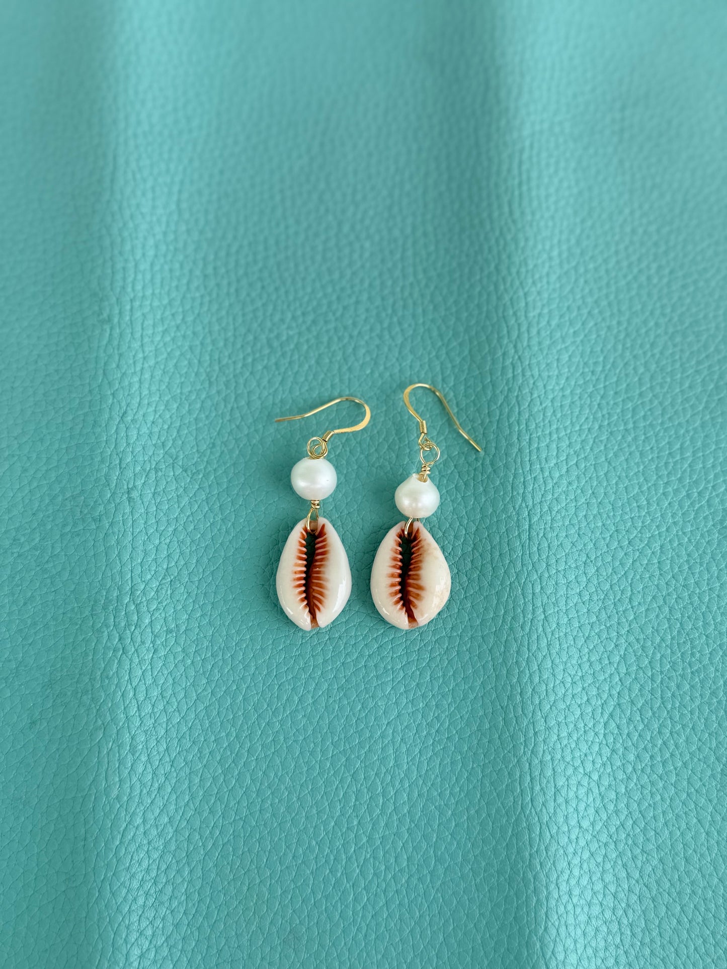 Cowrie shell earrings